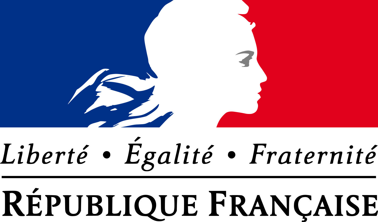 Logo_de_la_République_française_(1999) (1)